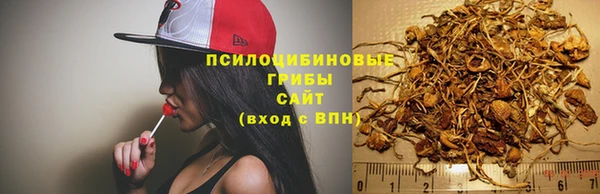 индика Володарск