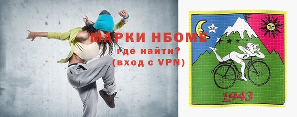 индика Володарск