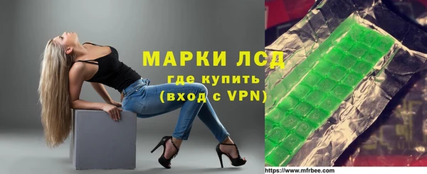 индика Володарск