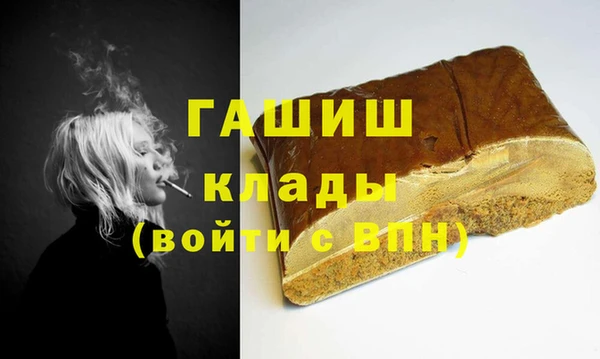 индика Володарск
