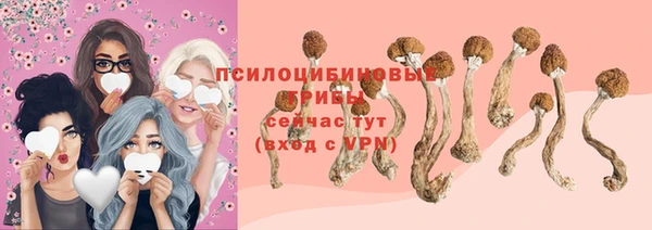индика Володарск