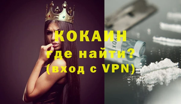 индика Володарск