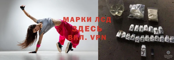 индика Володарск