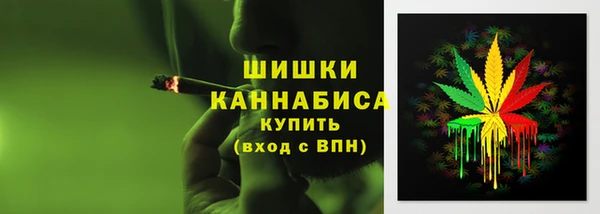 индика Володарск
