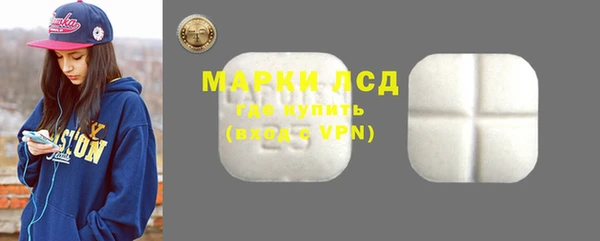 индика Володарск