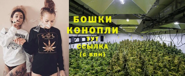 индика Володарск