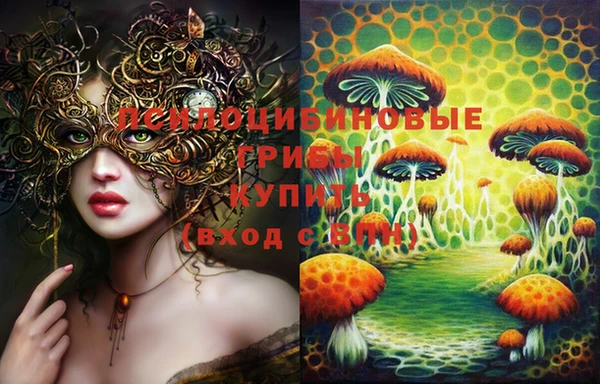 крисы Волоколамск