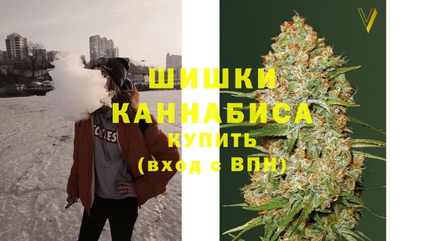 индика Володарск