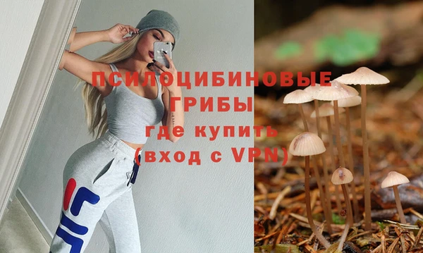 крисы Волоколамск