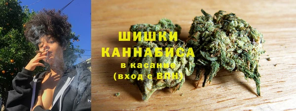 индика Володарск