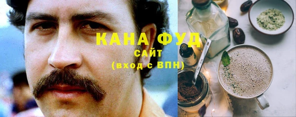индика Володарск