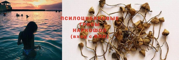 индика Володарск